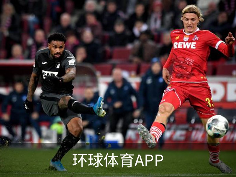 关于环球体育APP
